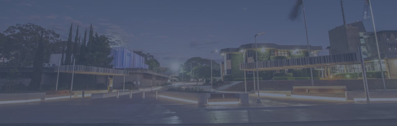 University of Southern Queensland (USQ) Licență în Tehnologia Informației (informatică aplicată)