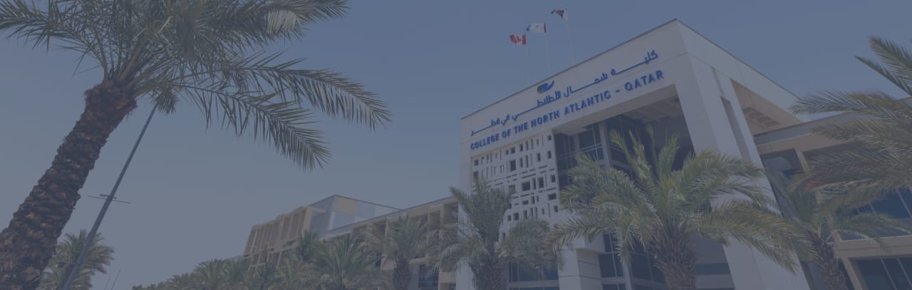 University of Doha for Science and Technology Duomenų ir kibernetinio saugumo taikomųjų mokslų bakalauras (BASc. DCS)