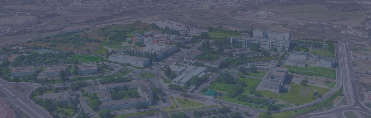 NOVA School of Science and Technology Degree in Mathematics Applied to Risk Management