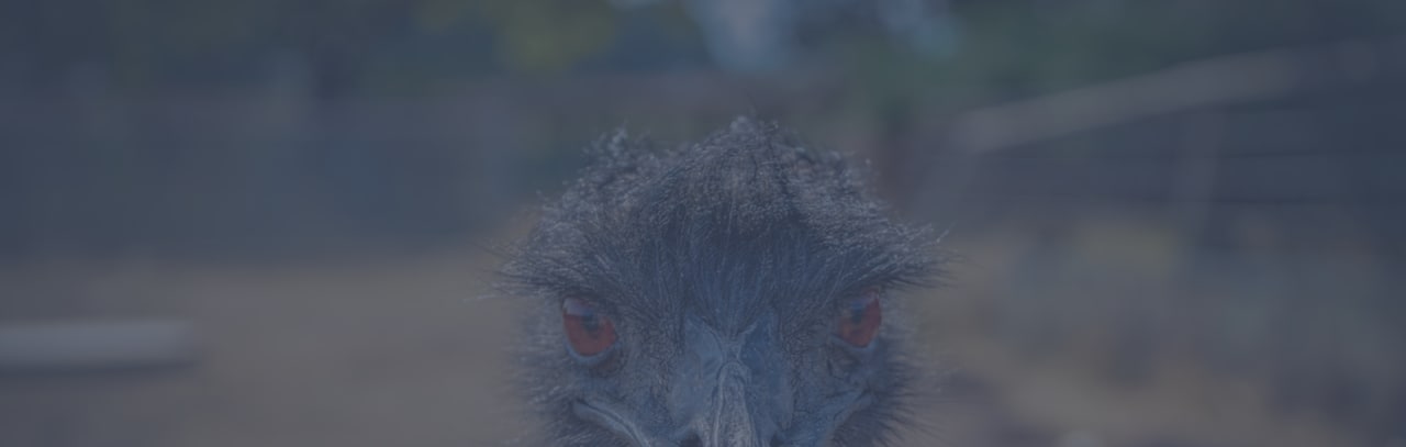 Emu School for Unicorns Sarjana Biologi Emu