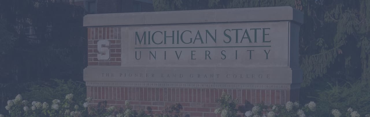 Michigan State University Online Master of Science i nettkriminalitet og digital etterforskning