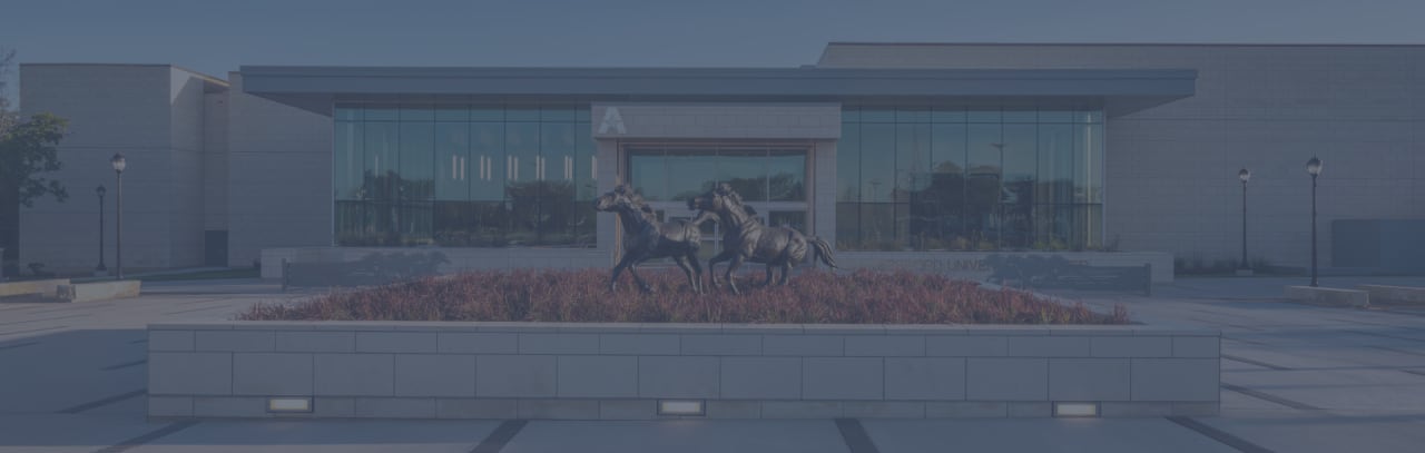 University of Texas Arlington دکترای مدیریت