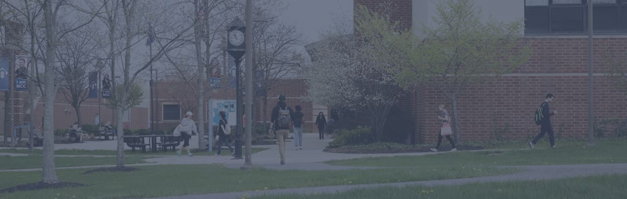 Northampton Community College SAA w diagnostycznej ultrasonografii medycznej