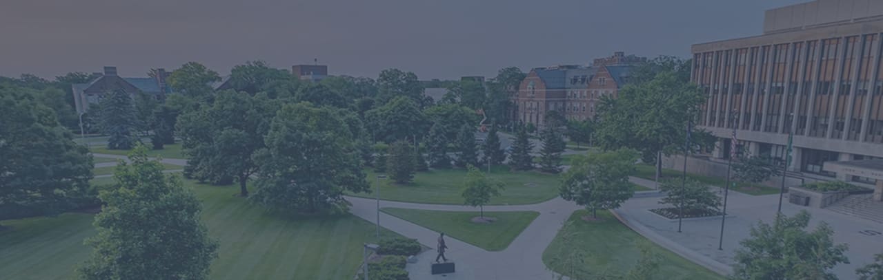 Michigan State University
