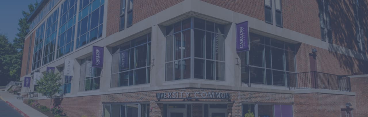 Carlow University Online Master of Science in Accounting