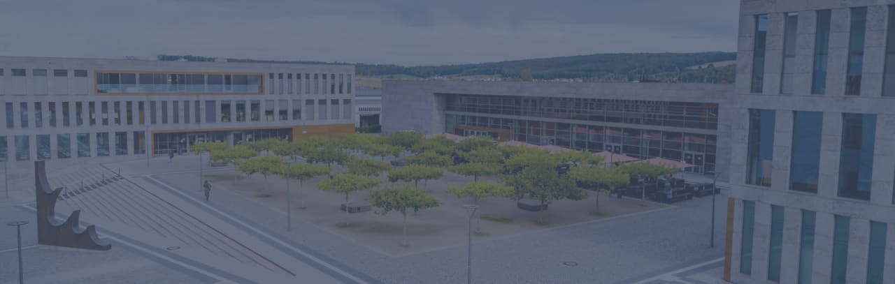 Fulda University of Applied Sciences Licenciatura en Ciencias en Negocios y Gestión Internacional