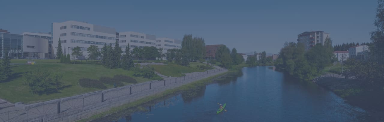 Seinäjoki University of Applied Sciences (SeAMK) Bachelor-Studiengang Ingenieurwesen, Automatisierungstechnik