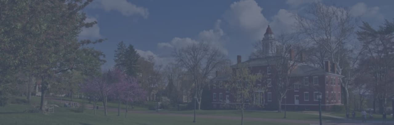 Allegheny College Bachelor of Arts in Anglistik: Schwerpunkt Literaturwissenschaft