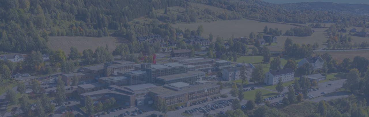 Inland Norway University of Applied Sciences Master of Business Administration - major in Business Analytics