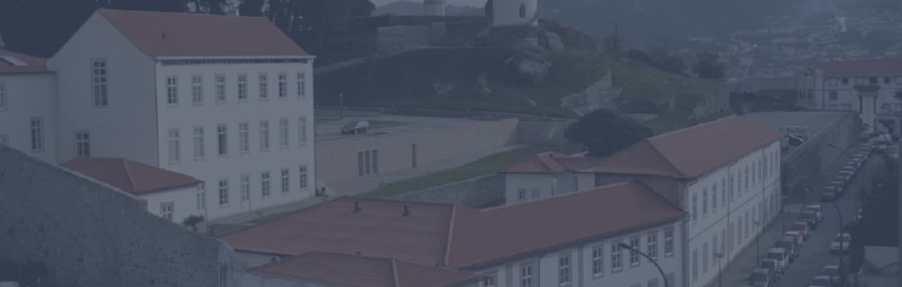 Universidade Católica Portuguesa Mestrado em Gerontologia Social Aplicada