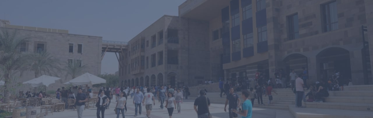 AUC The American University in Cairo Data Science (BSc)