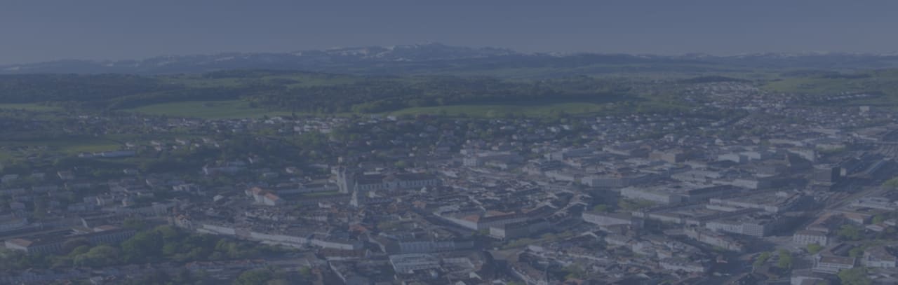 University of St. Gallen (HSG), School of Management, Economics, Law, Social Sciences and International Affairs Master in Strategy and International Management (SIM)