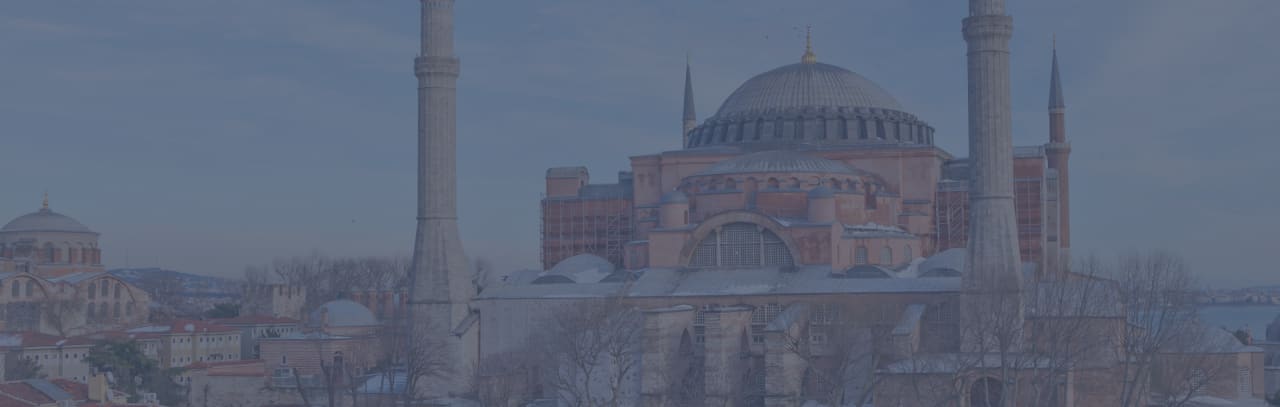 Bahcesehir University Licenciatura en Ingeniería Mecatrónica
