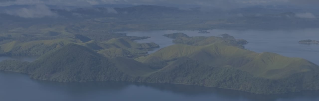 پاپوآ گینه نو
