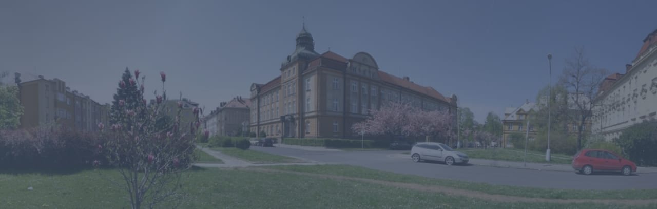 Faculty of Philosophy and Science, Silesian University in Opava Kompiuterių doktorantūra