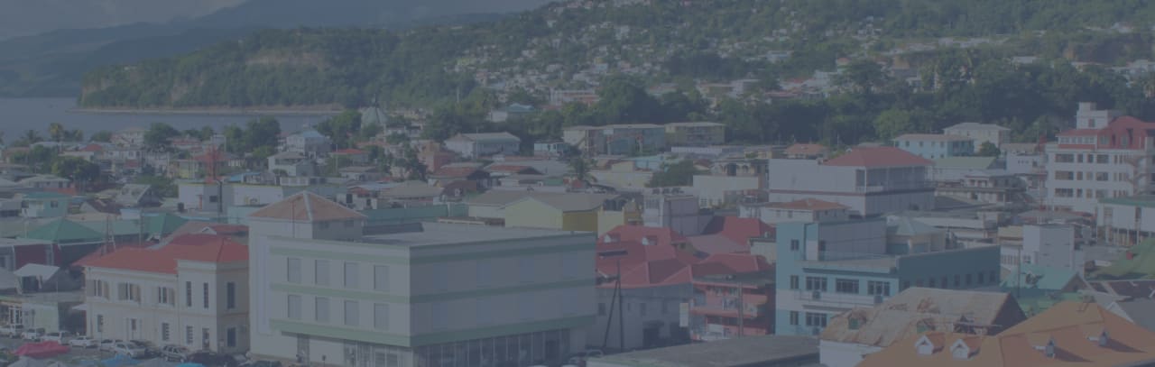 Wenden Sie sich direkt an Schulen - Vergleichen Sie mehrere Betriebswirtschaftslehre  (EMBA) Studiengänge in Dominica 2023