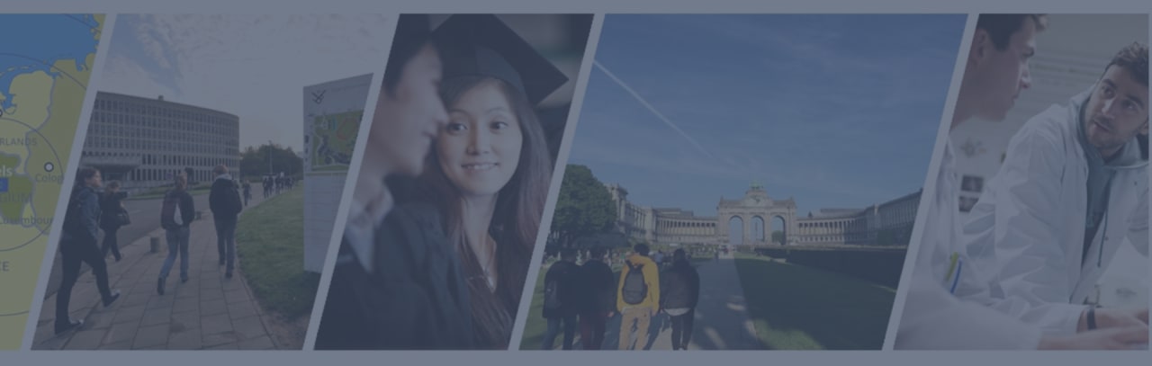 Vrije Universiteit Brussel Tarptautinės prekybos ir investicijų magistrantūros studijų programa