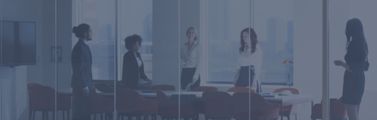 Hult International Business School Masters in International Business