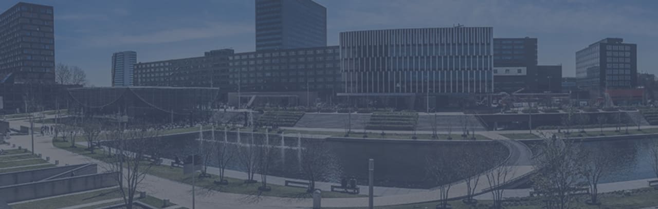 Rotterdam School of Management | Erasmus University Global Executive MBA - 21 måneder