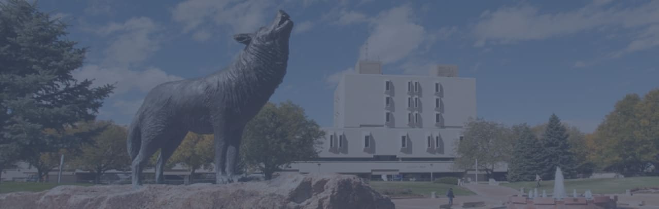 Colorado State University Pueblo магистр делового администрирования