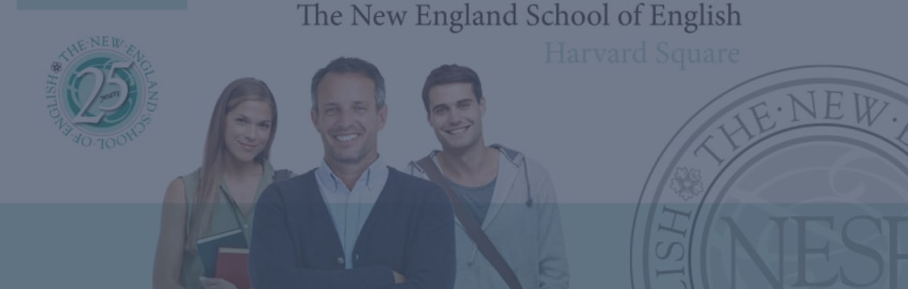 The New England School of English On-Line Intensiv- oder Halbintensivunterricht an fünf Tagen pro Woche