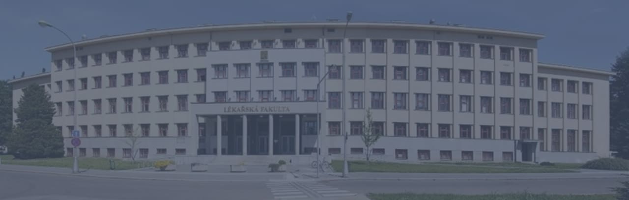Charles University Faculty of Medicine in Hradec Králové Магістр загальної медицини (MUDr)