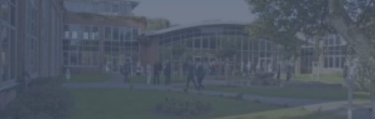Entre em contato direto com as escolas - Compare múltiplo No campus Mestrados em Gestão de Empresas  (MBA) Programas em Gestão de Operações em Tiblissi, Geórgia 2023