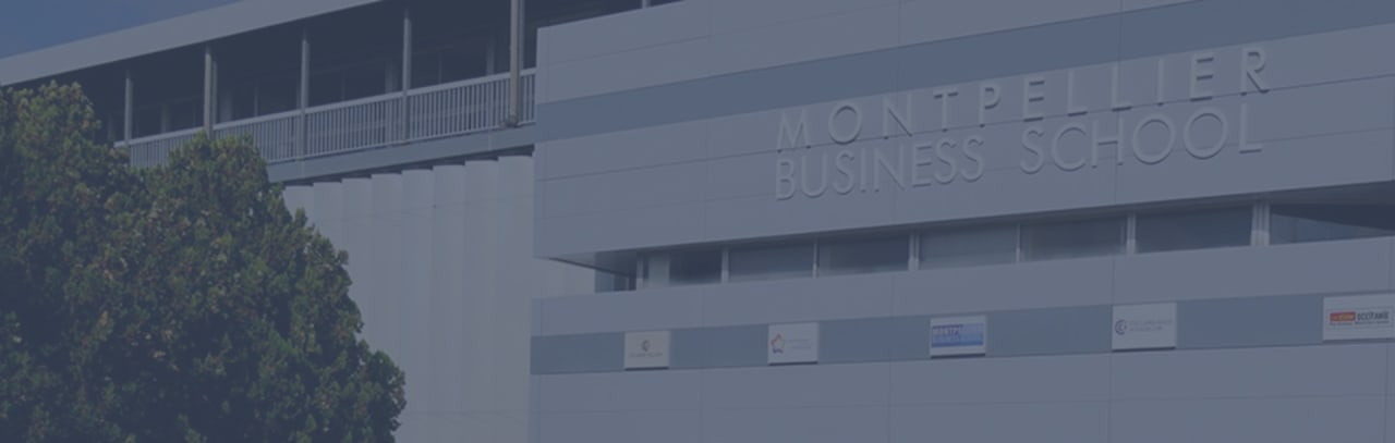 Montpellier Business School Master in finanza globale