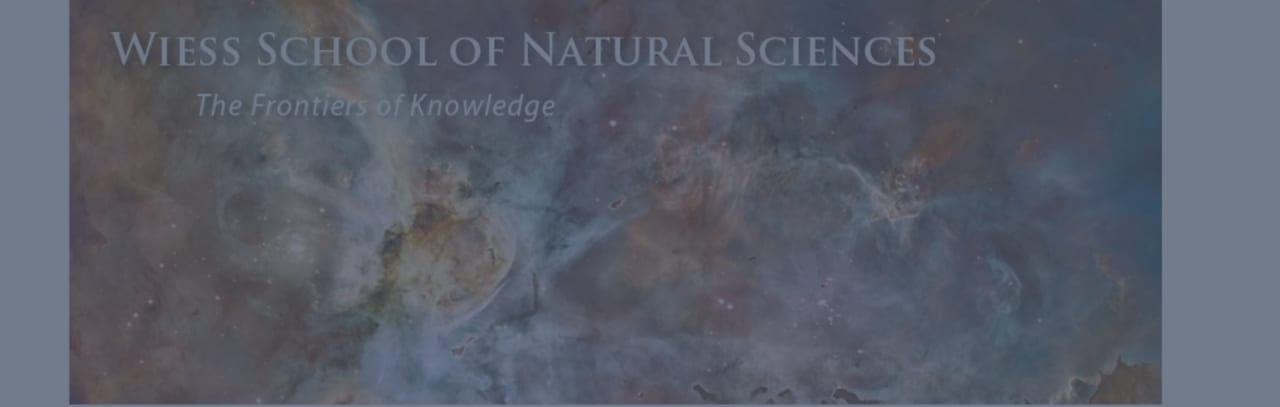 Rice University | Wiess School of Natural Sciences Master in studi spaziali