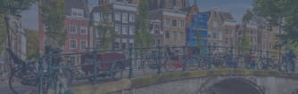 Nyenrode Business University Modulinė verslo MBA MBA
