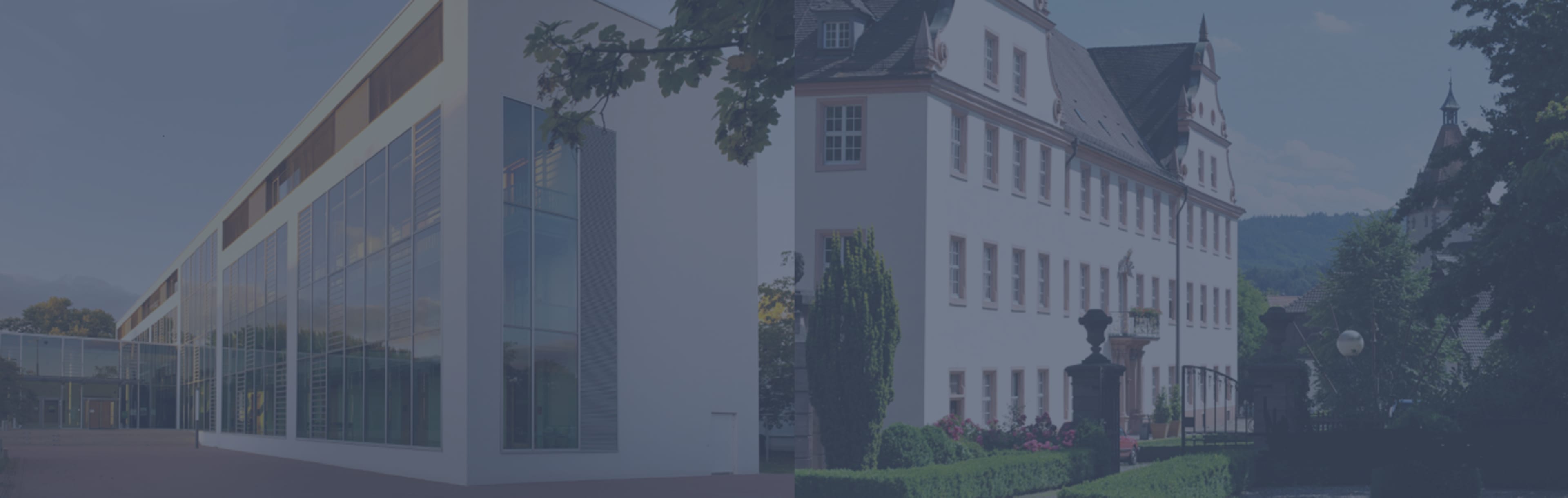 Offenburg University MBA in International Business Consulting