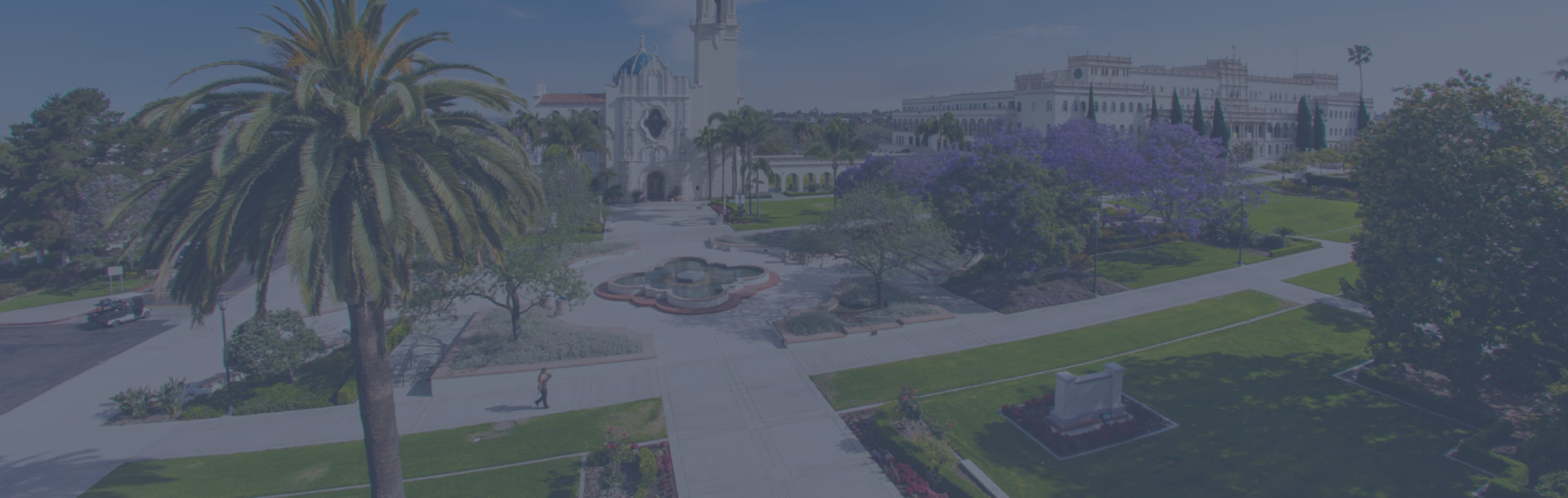 University of San Diego School of Law LLM mokesčių srityje