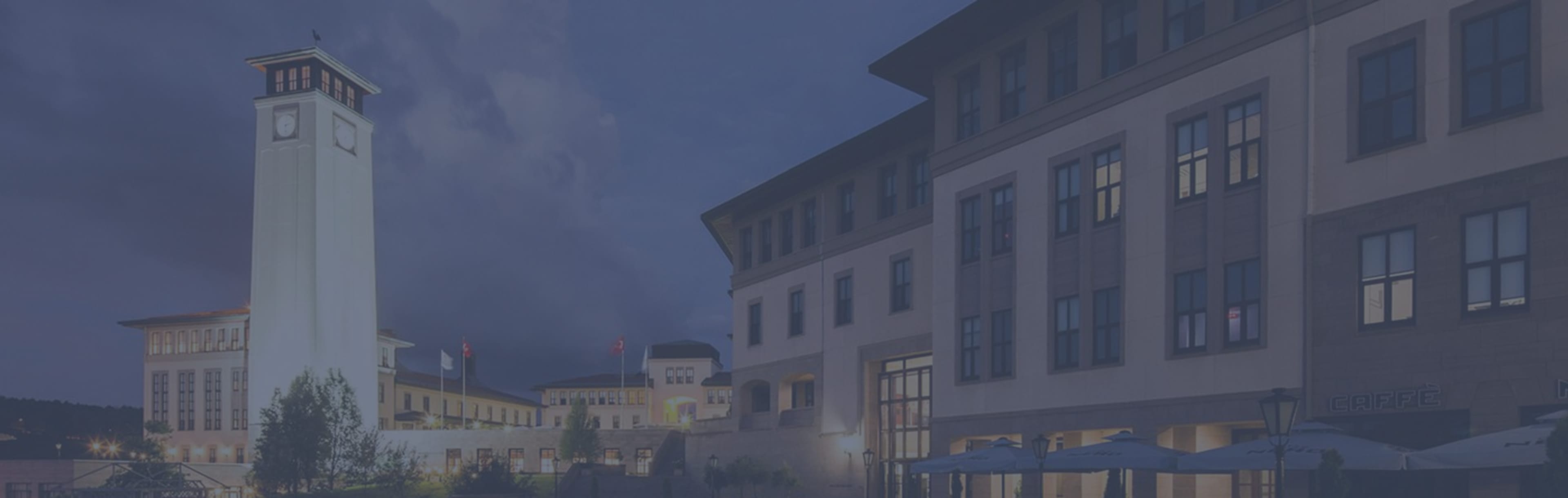 Koc University - Istanbul Turkey Mestrado em Neurociência