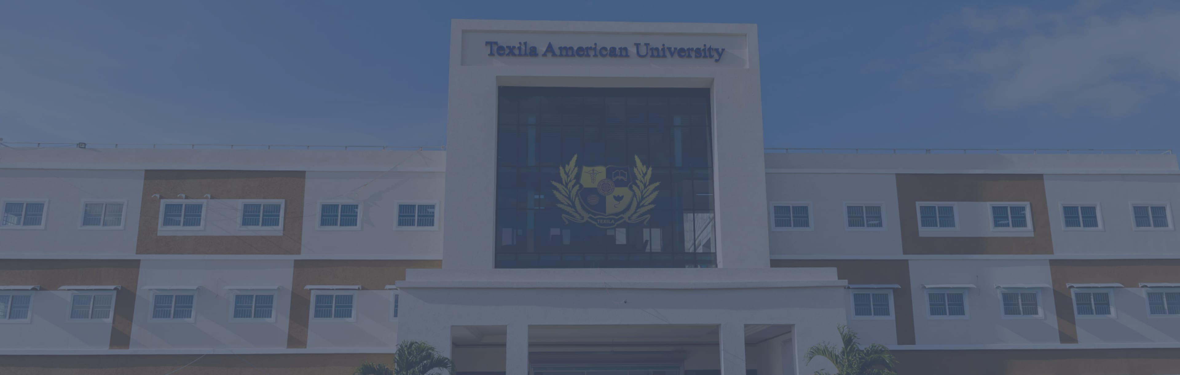 Texila American University Doctor of Business Administration