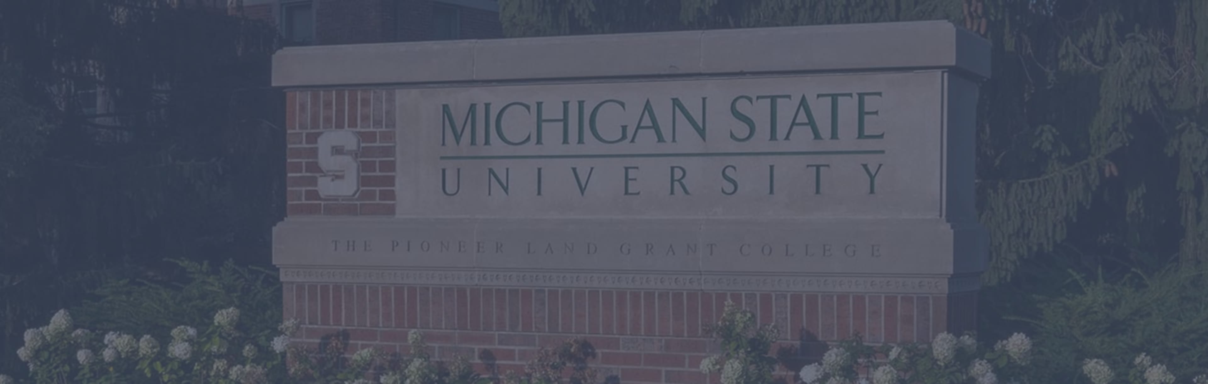 Michigan State University Online Maestría en Ciencias en Ciberdelincuencia e Investigación Digital