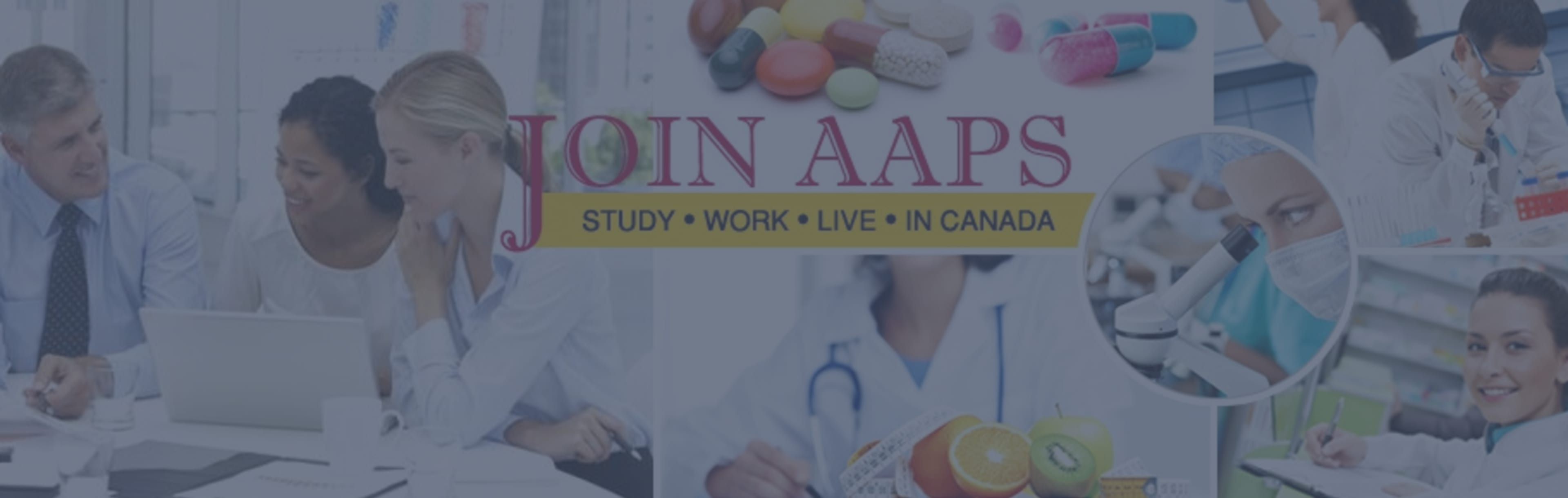 Academy Of Applied Pharmaceutical Sciences (AAPS) Diplomprogram for farmasøytisk kvalitetssikring og kvalitetskontroll