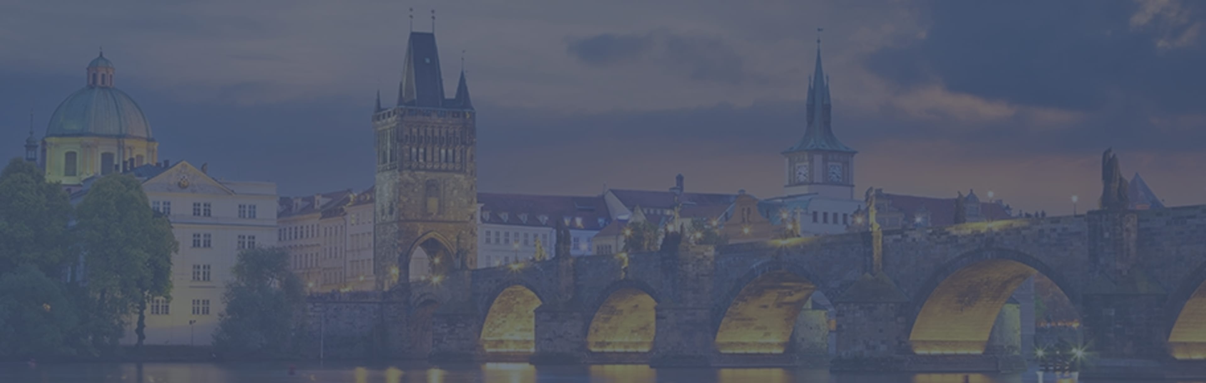 University of New York in Prague (UNYP) MBA with a Concentration in Marketing