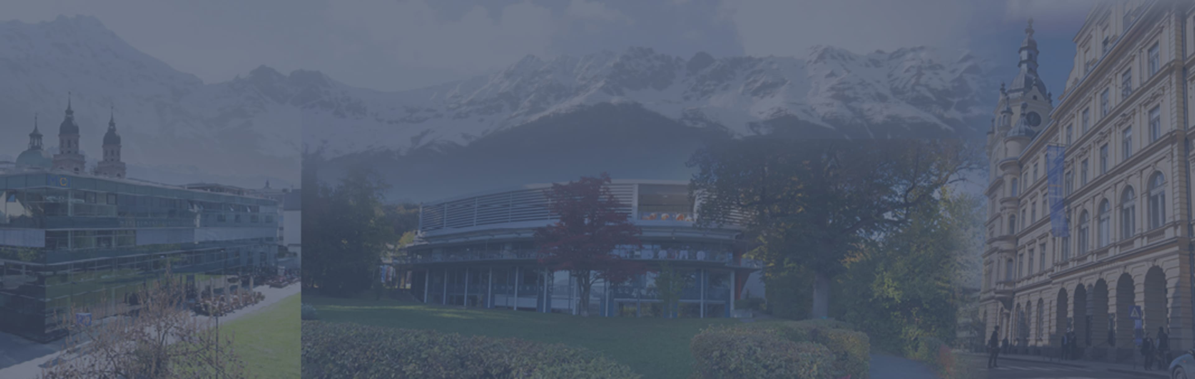 Management Center Innsbruck Executive PhD Program in Management