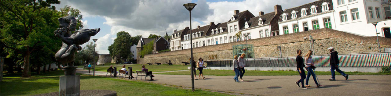 Maastricht University, Faculty of Science and Engineering Master süsteemibioloogias