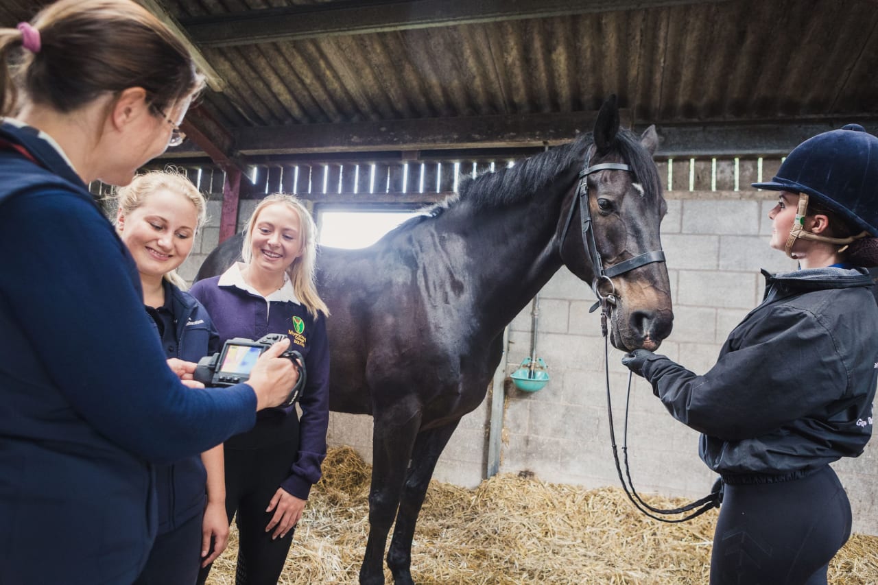 University Centre Myerscough BSc in Equine Science