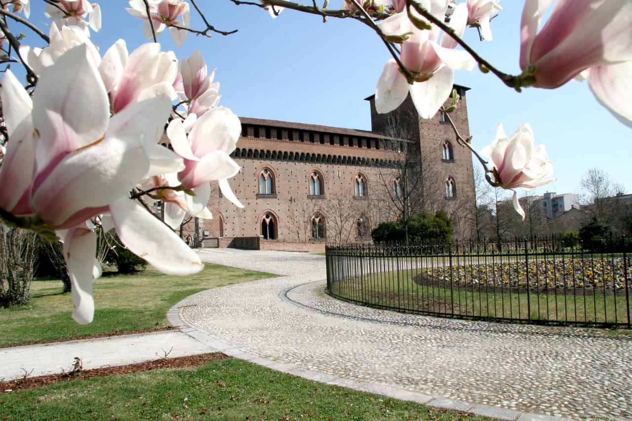 University of Pavia Master-Abschluss in Psychologie, Neurowissenschaften und Humanwissenschaften