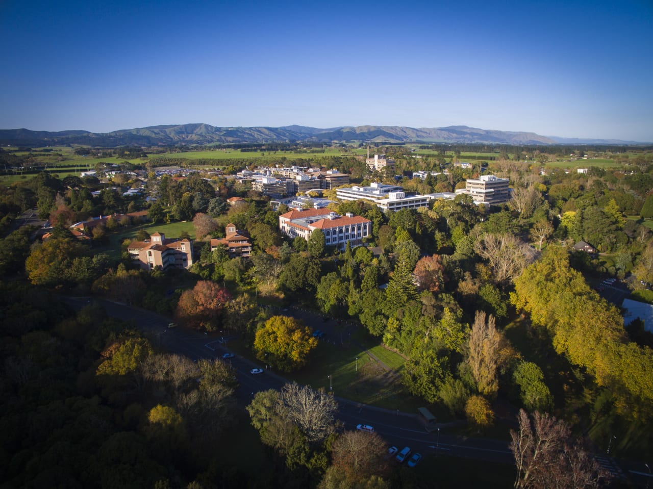 Massey University Licenciatura en Producción de Medios Creativos