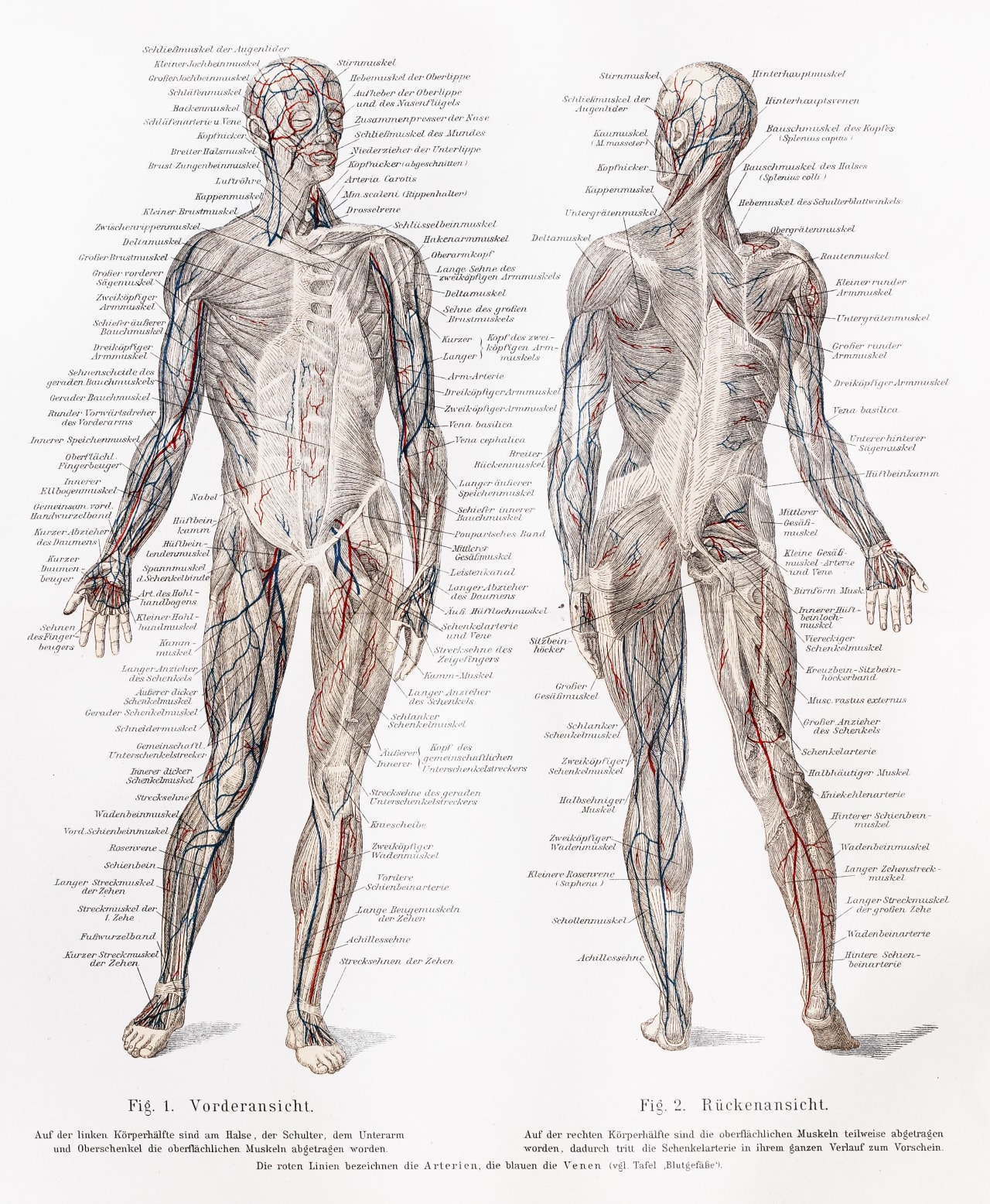 Contact Schools Directly - Compare multiple Health Care Programs in Medical Illustration 2024
