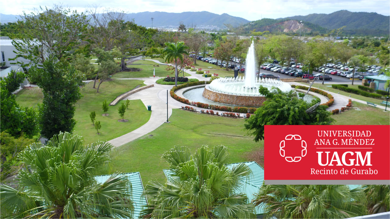 Universidad Ana G. Méndez – Recinto de Gurabo Doctorado en Ciencias Ambientales (Química, Biología o Manejo Ambiental)