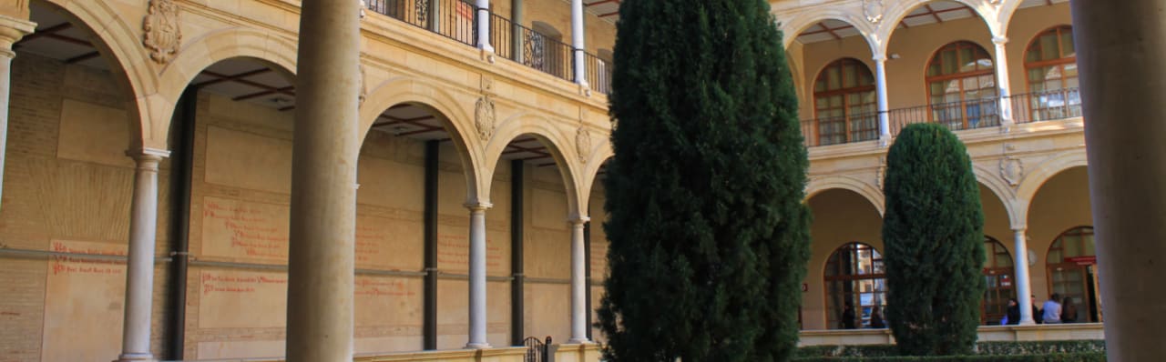 Universidad de Murcia Master's Degree in Business Administration (MBA)