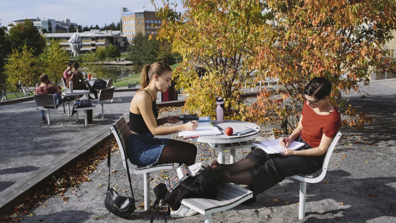 Umeå University - Faculty of Science and Technology Bacharel em Ciências da Vida