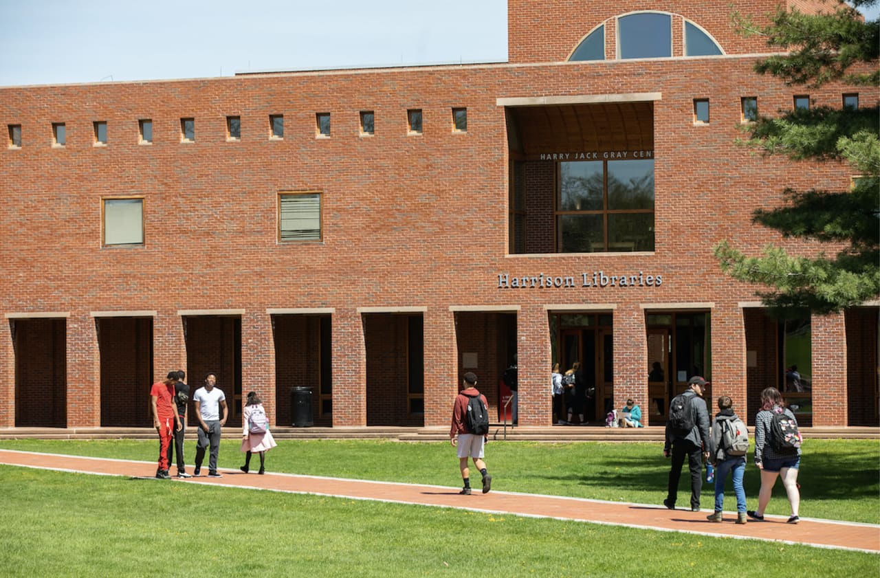 University of Hartford Licenciado en Analítica de Negocios y Economía de la Empresa