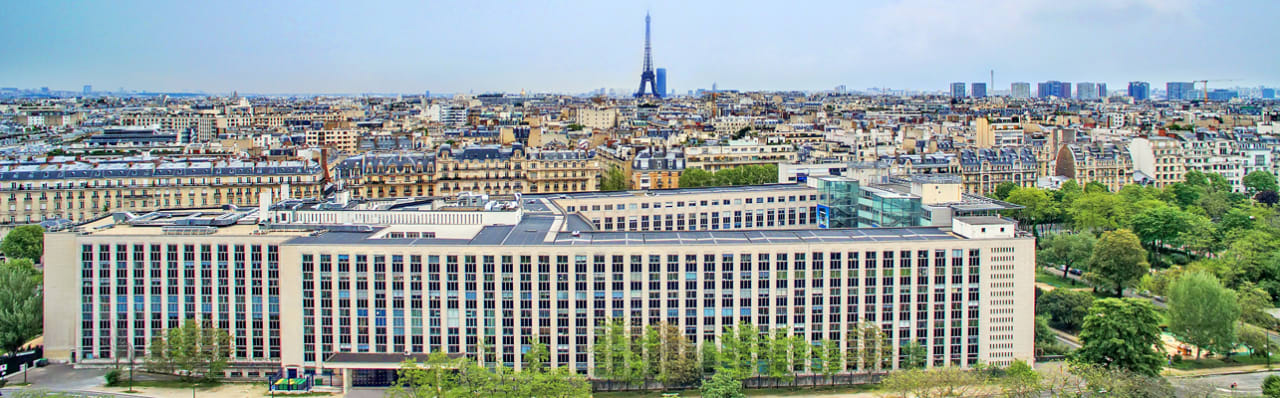 Paris Dauphine University Исполнительный доктор философии