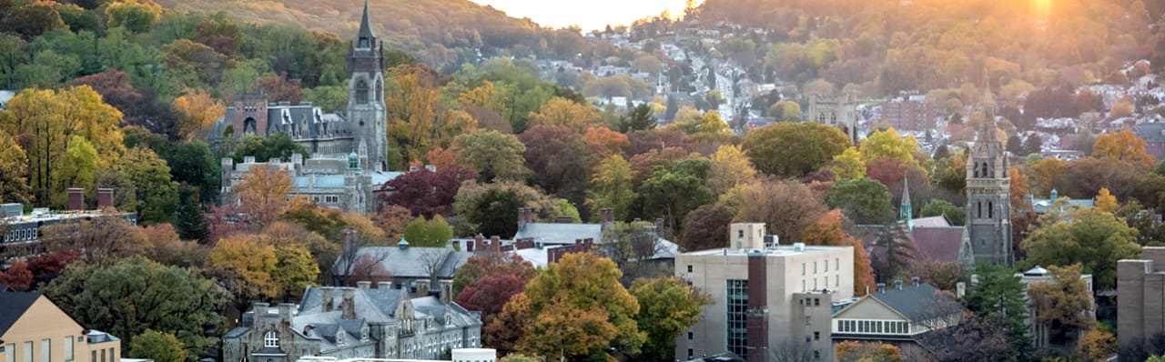 Lehigh University MA in Political Science