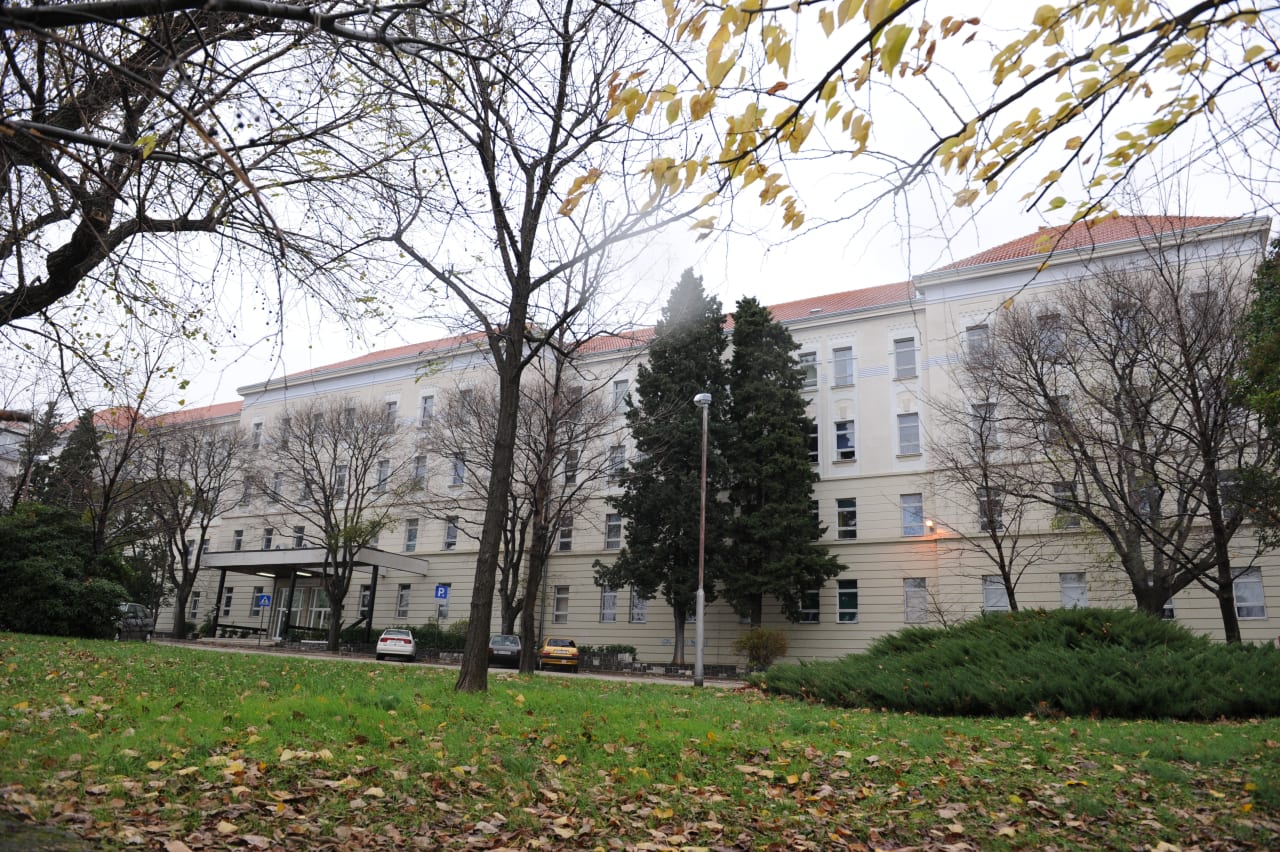University of Rijeka, Faculty of Engineering PhD in Electrical Engineering